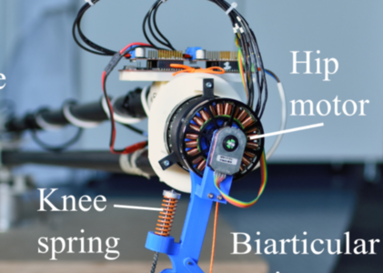 Frontiers in Neurorobotics: Series Elastic Behavior of Biarticular Muscle-Tendon Structure in a Robotic Leg