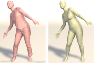 Detailed, accurate, human shape estimation from clothed {3D} scan sequences