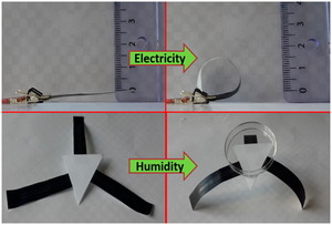 High-Performance Multiresponsive Paper Actuators
