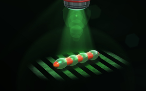 Structured light enables biomimetic swimming and versatile locomotion of photoresponsive soft microrobots