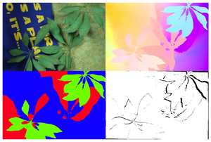 Layered image motion with explicit occlusions, temporal consistency, and depth ordering