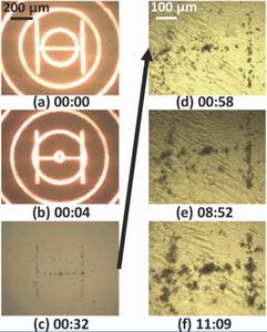 Cell patterning in a hydrogel using optically induced dielectrophoresis