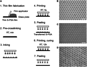 Bio-inspired composite microfibers for strong and reversible adhesion on smooth surfaces