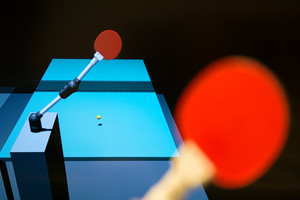 Learning to Play Table Tennis From Scratch using Muscular Robots