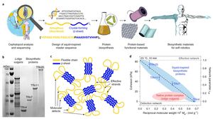 Biosynthetic self-healing materials for soft machines