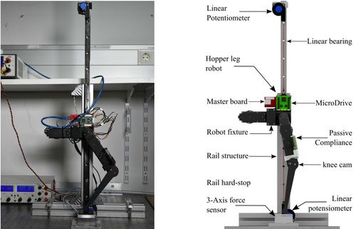 Towards Hybrid Active and Passive Compliant Mechanisms in Legged Robots