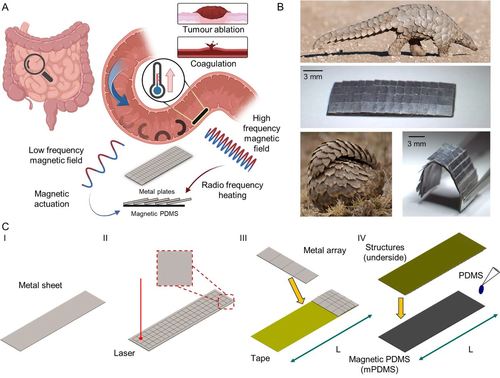 Pangolin-inspired untethered magnetic robot for on-demand biomedical heating applications