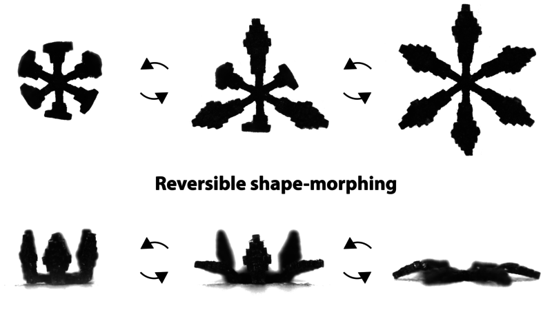 The heterogeneous assembly approach fabricates a flower-shaped soft machine with complex stiffness distribution and reversible shape-morphing. Three of its petals bloomed first in lower magnetic field strength and the rest three bloomed later as the field strength increased.