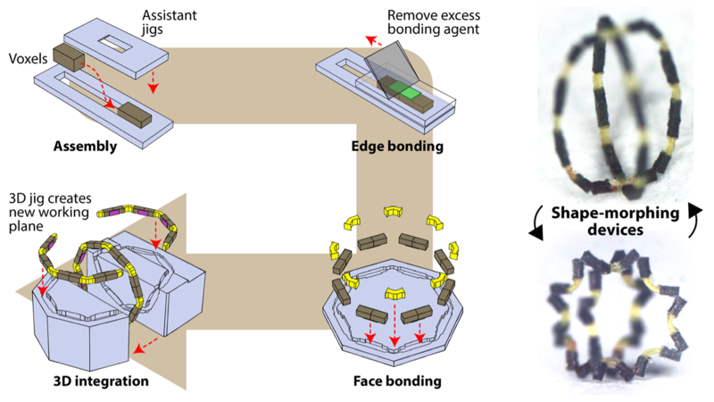 Illustrations of shape-morphing miniature robots fabricated using the heterogeneous assembly platform. Voxels made of multimaterials are freely integrated together to create robots with arbitrary 3D geometries and magnetization profiles.