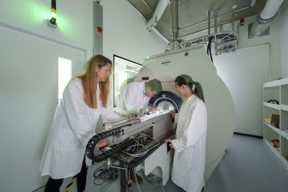 More information about Medical Systems