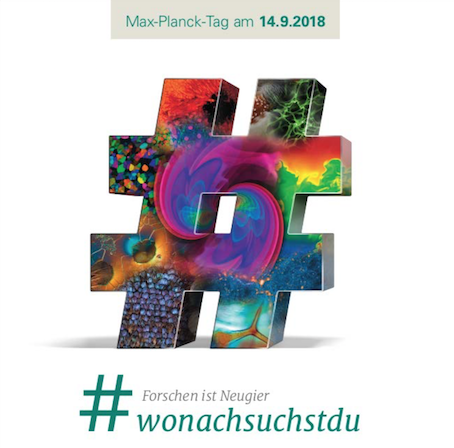 Icon wonachsuchstdu 