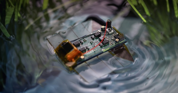 {"en"=>"A miniature swimming robot inspired by marine flatworms", "de"=>"Miniatur-Schwimmroboter inspiriert von Plattwürmern"}
