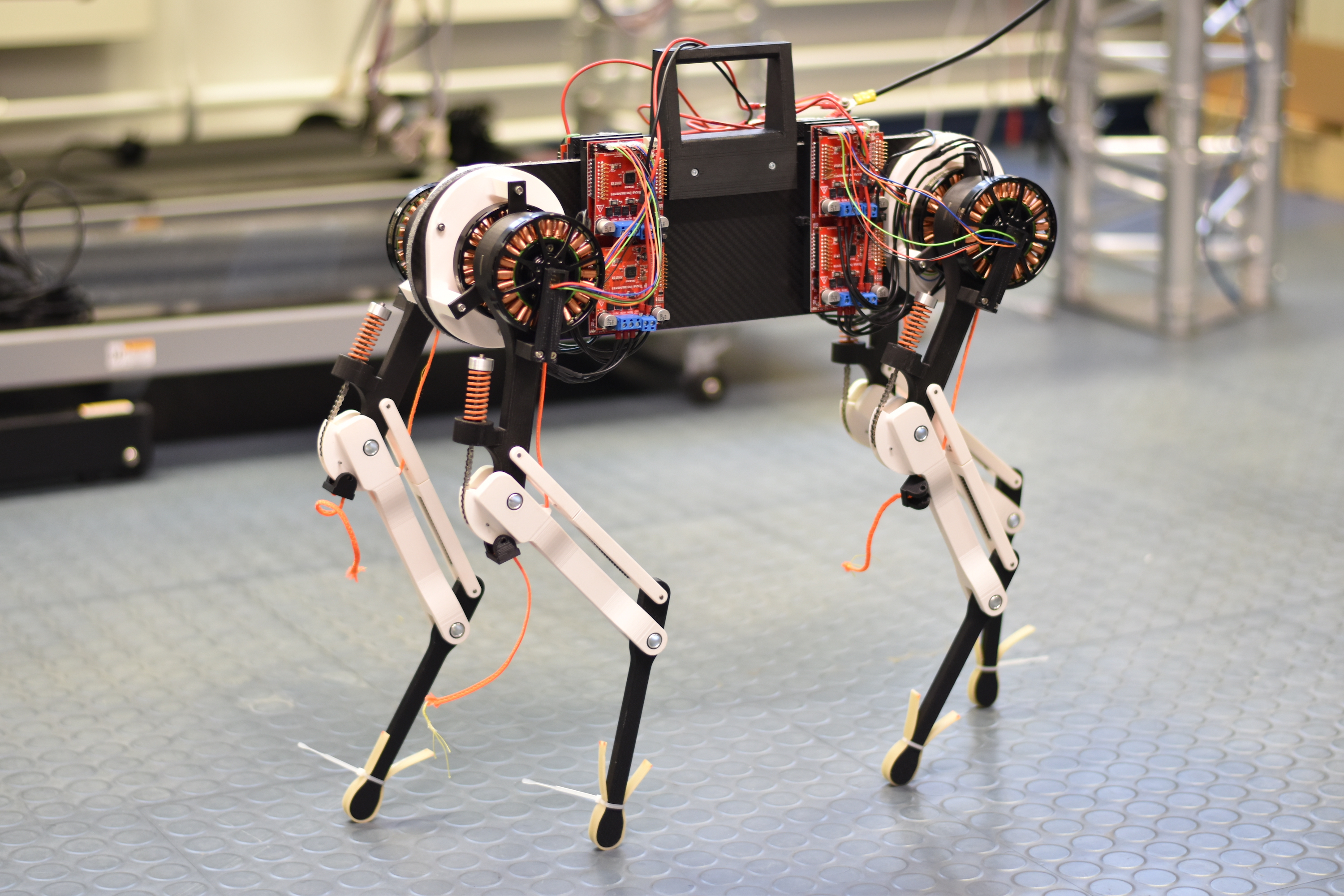 Robot dog learns to walk in | Max Planck Institute for Intelligent Systems