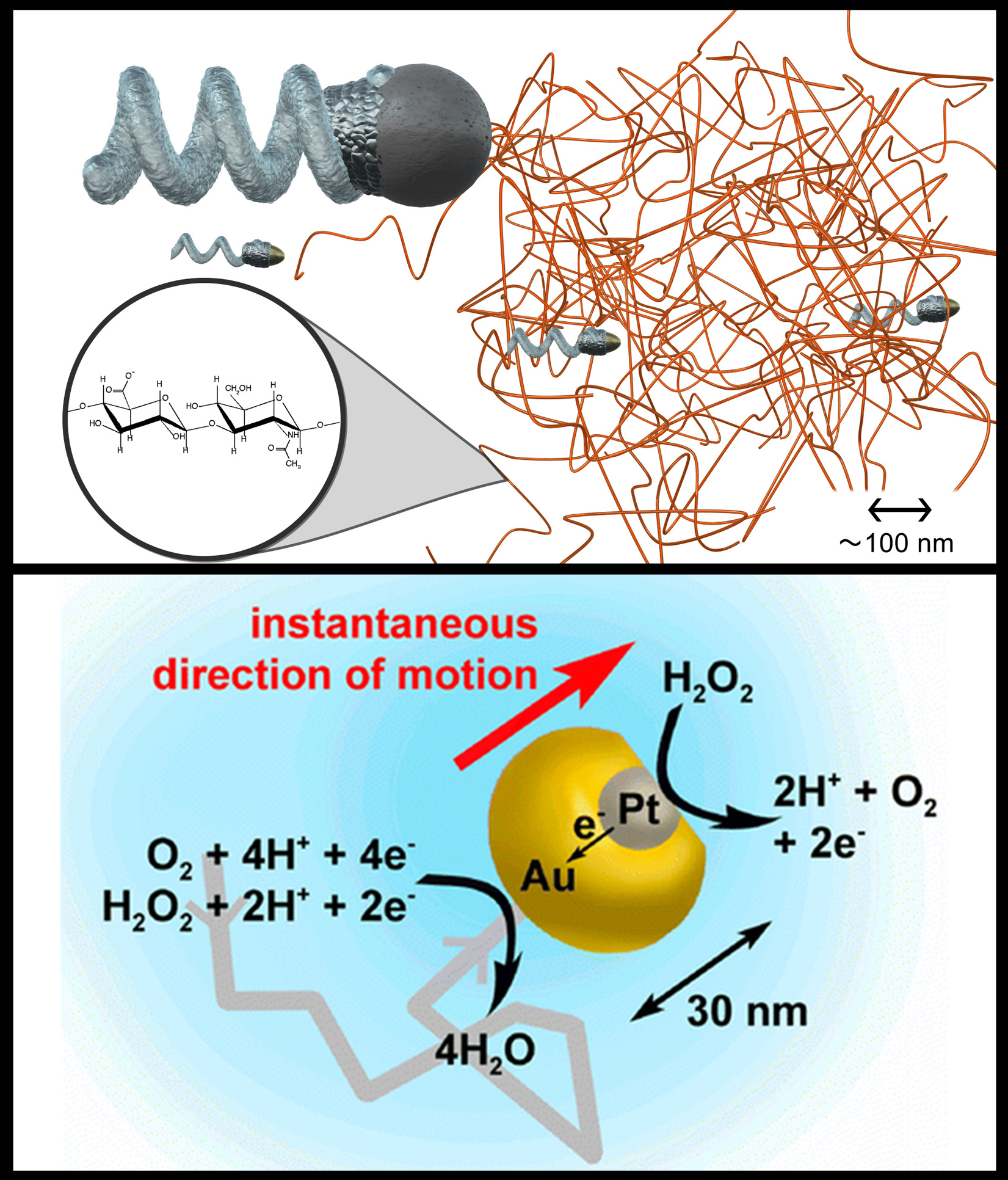 Smallest chemical nanomotor and smallest nanopropeller published copy