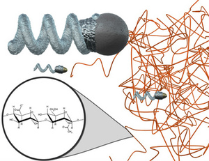 Thumb ticker sm smallest chemical nanomotor and smallest nanopropeller published copy
