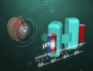 Thumb ticker sm pictire scallop