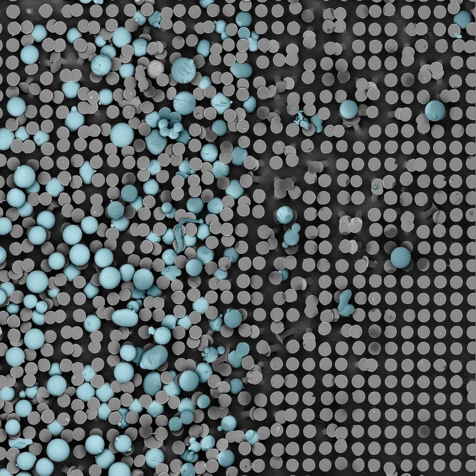 Cover2 colored rgb 6x6 300dpi