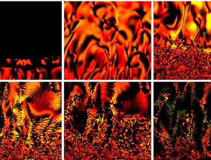 Thumb ticker sm physicists discover