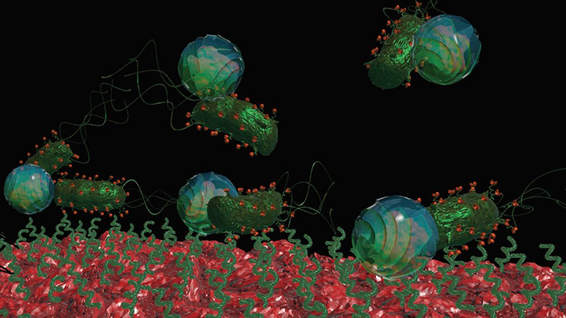 Bacteria driven