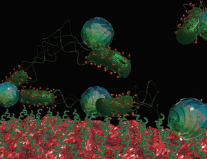 Thumb ticker sm bacteria driven