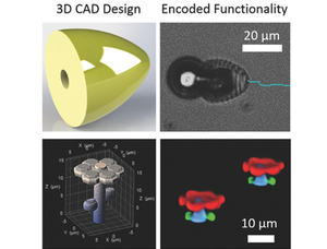 Thumb ticker sm 3d mikroroboterb