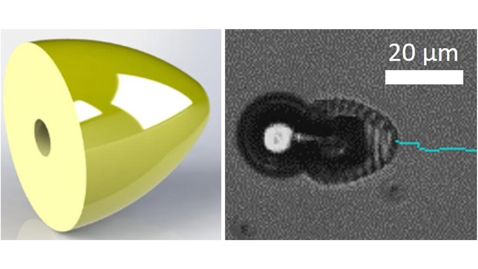 Functional microrobots