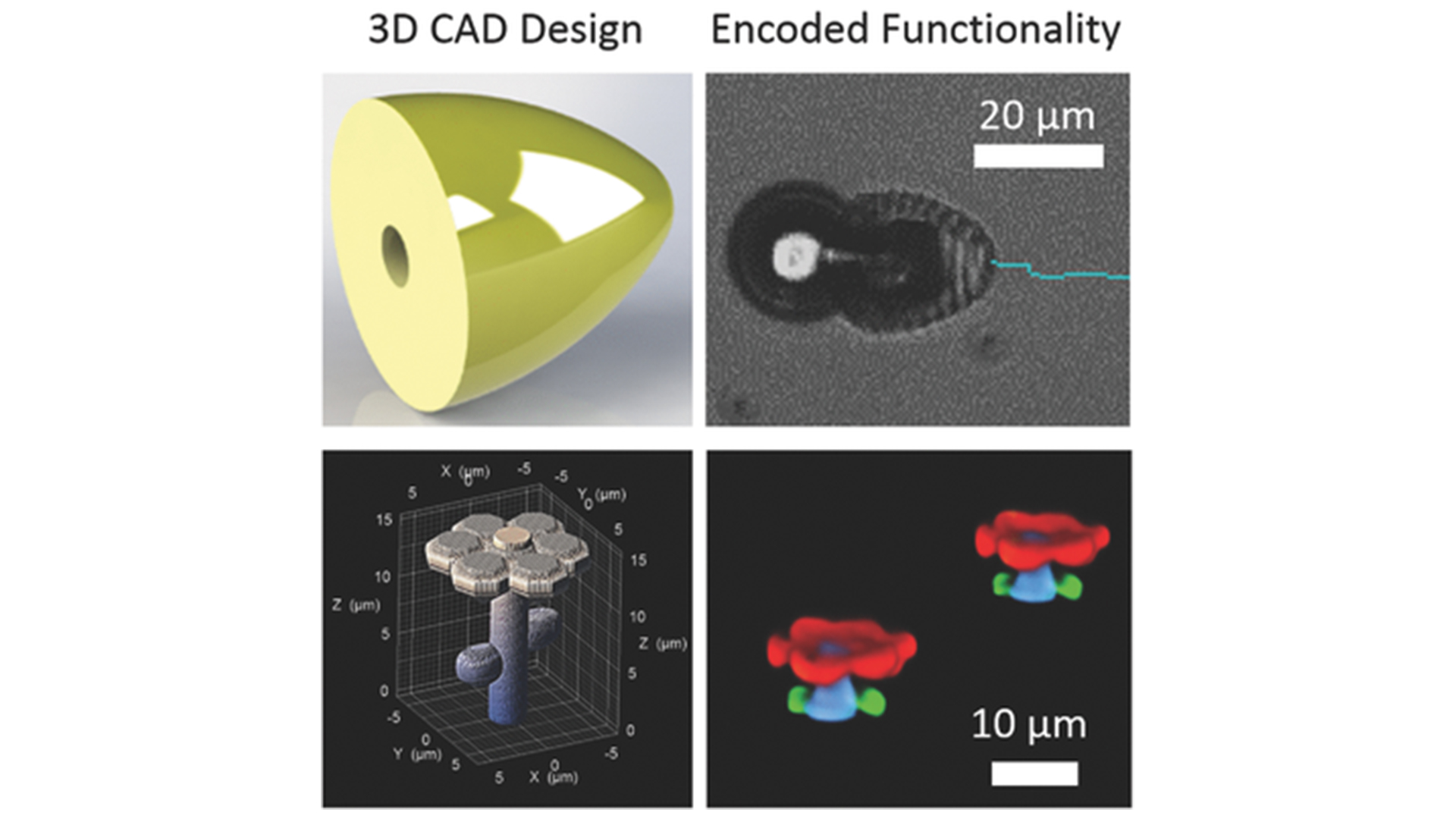 3d mikroroboterb