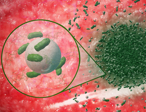 Thumb ticker sm bacteria navigate microparticle