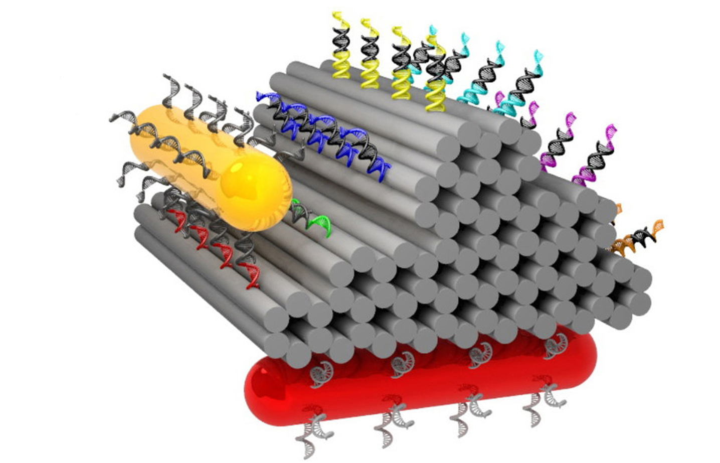 Nanotechnology  tracking