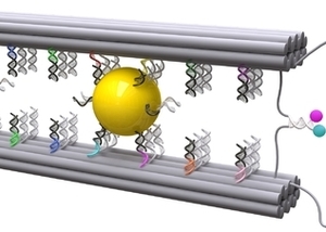Thumb ticker sm illustration der nanostruktur