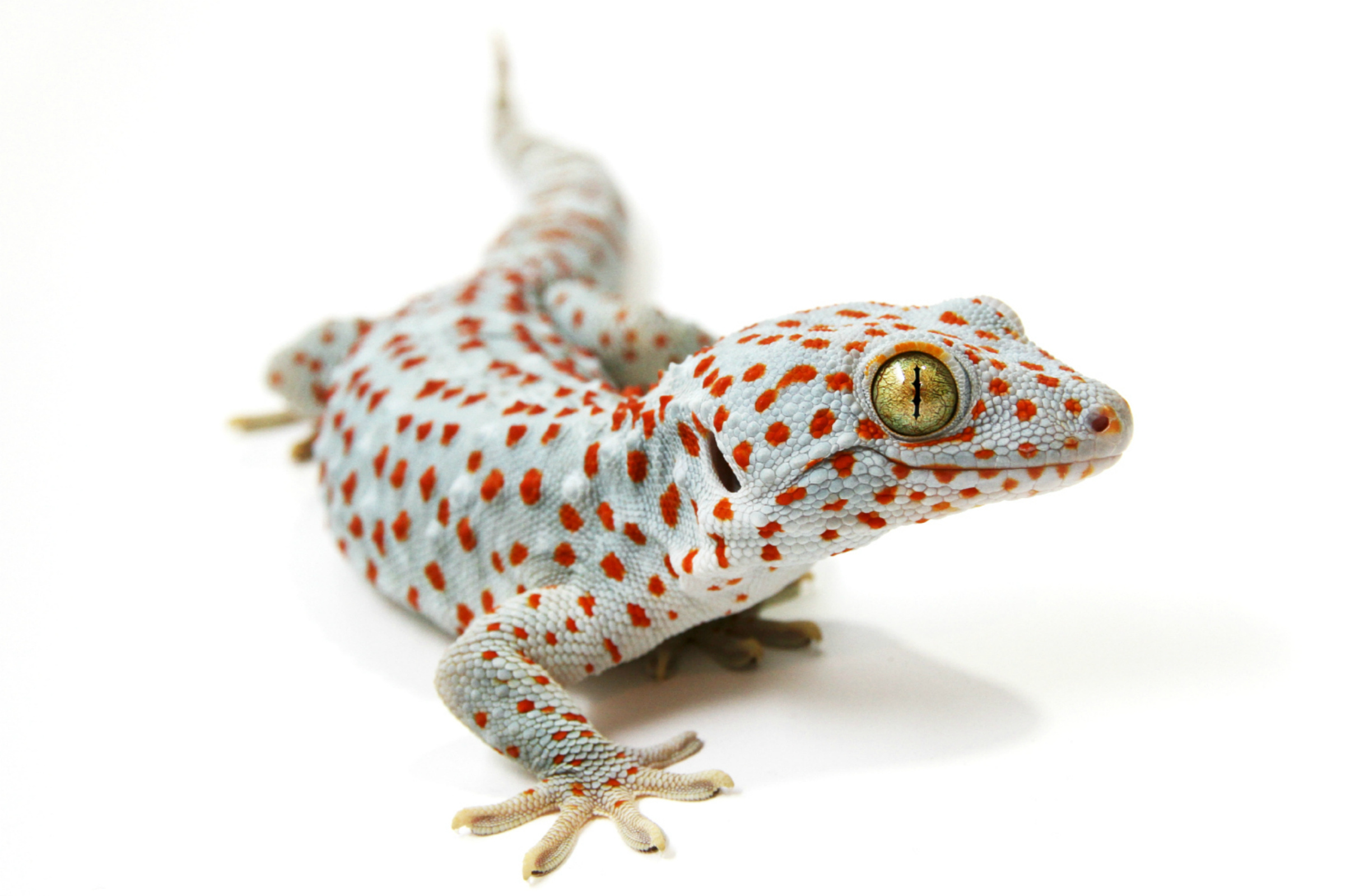 Adobestock 55070897