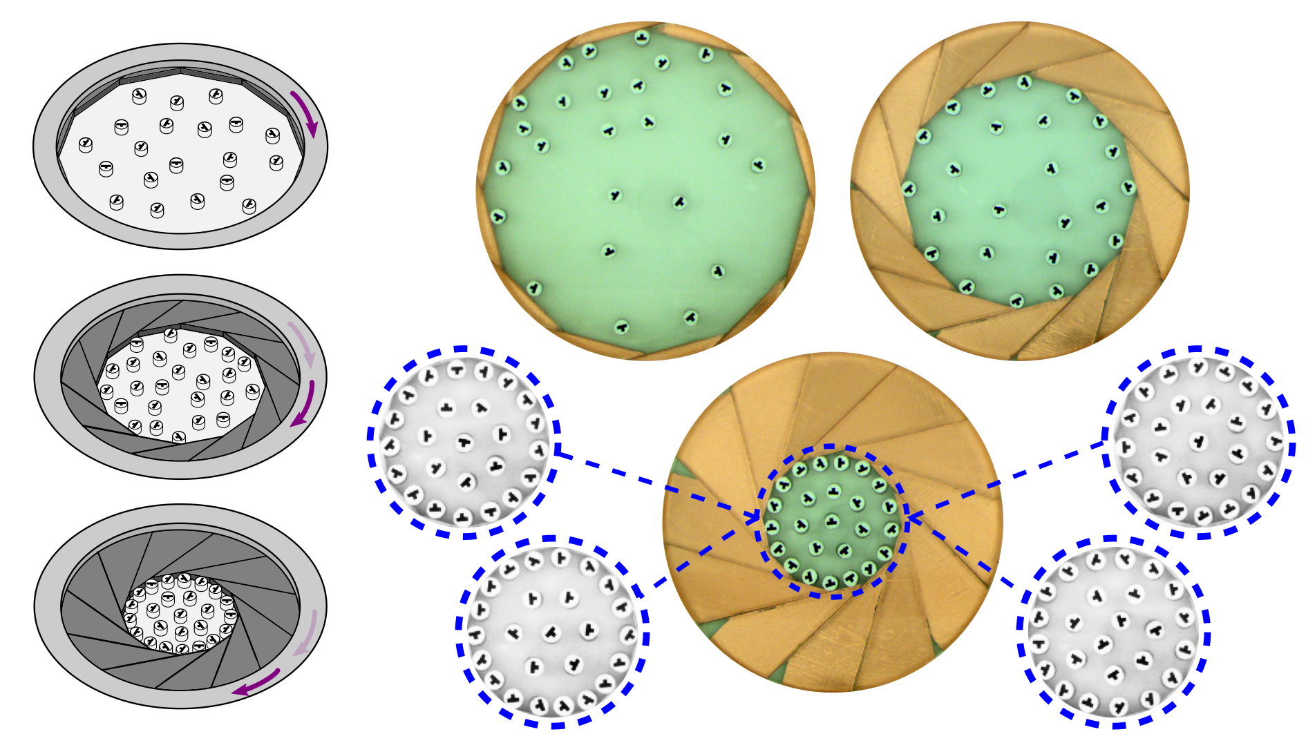Reprogramming of macroscopic self assembly with dynamic boundaries