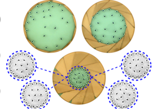 Thumb ticker sm reprogramming of macroscopic self assembly with dynamic boundaries