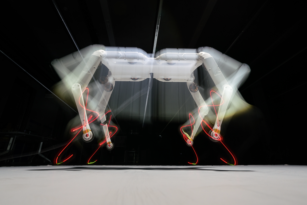Quadruped robot mpi for intelligent systems w.scheible 2