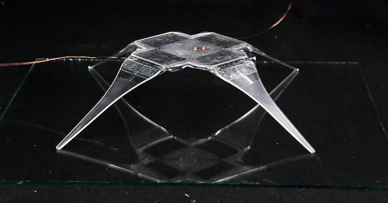 Thumb ticker xxl arachnobot made of ses joints