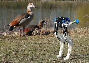 Thumb ticker sm birdbot with bird klein 1