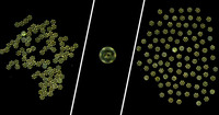 Thumb ticker sm thumbnail main image