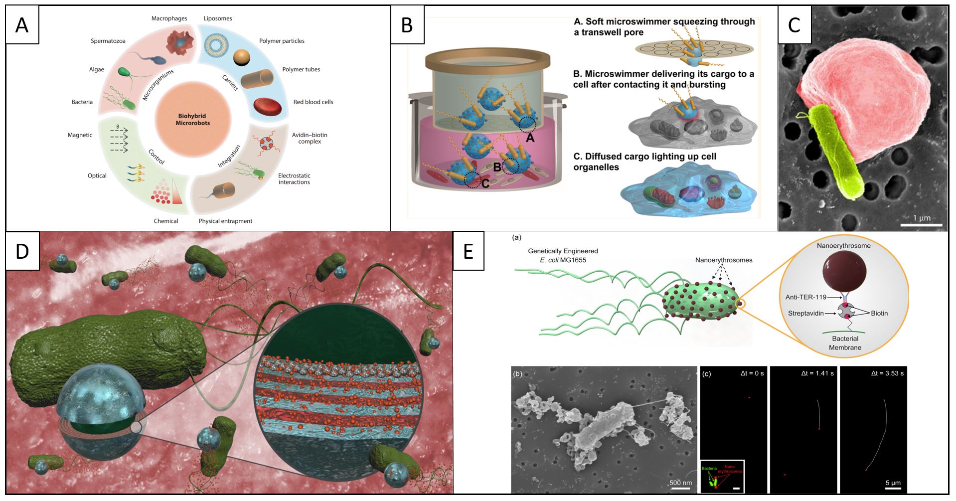 Bacteria powered