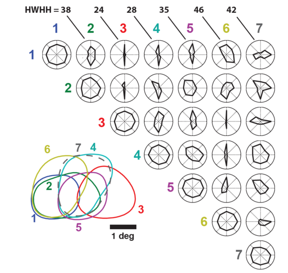 Research photo fig3neuoflow