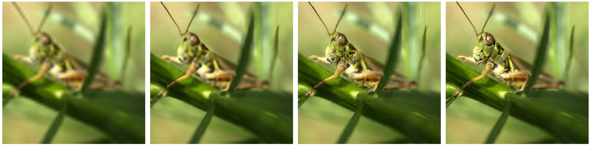 Enhancenet comparison grasshopper
