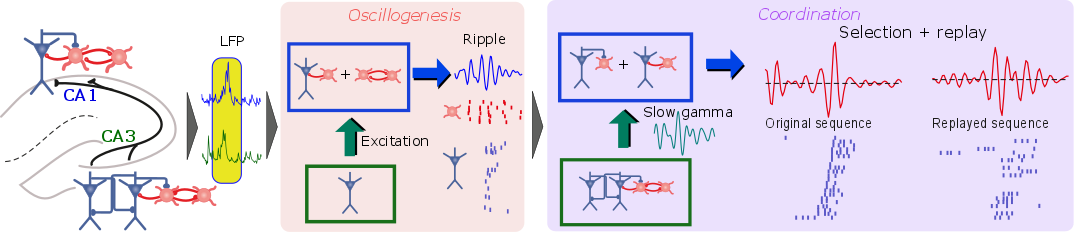 Graphicalabstrneuron