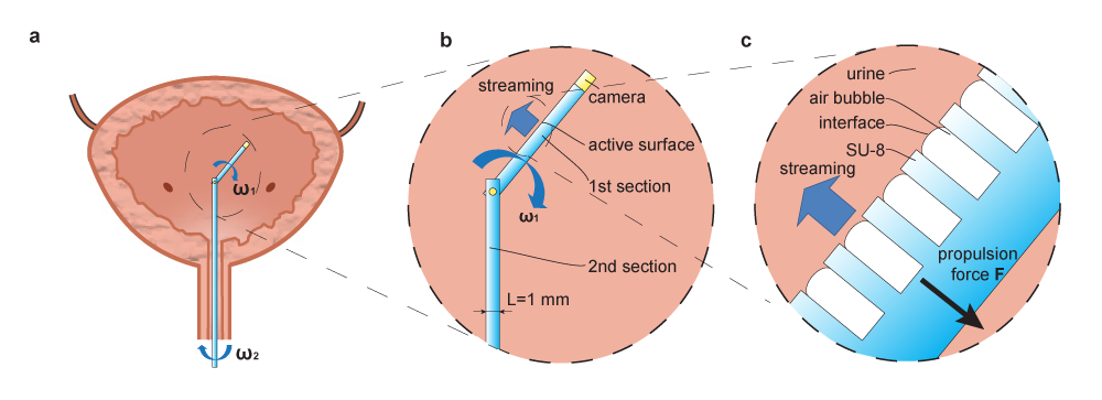 Ultrasound 1