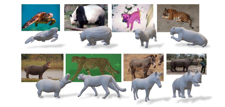 Sab animals3