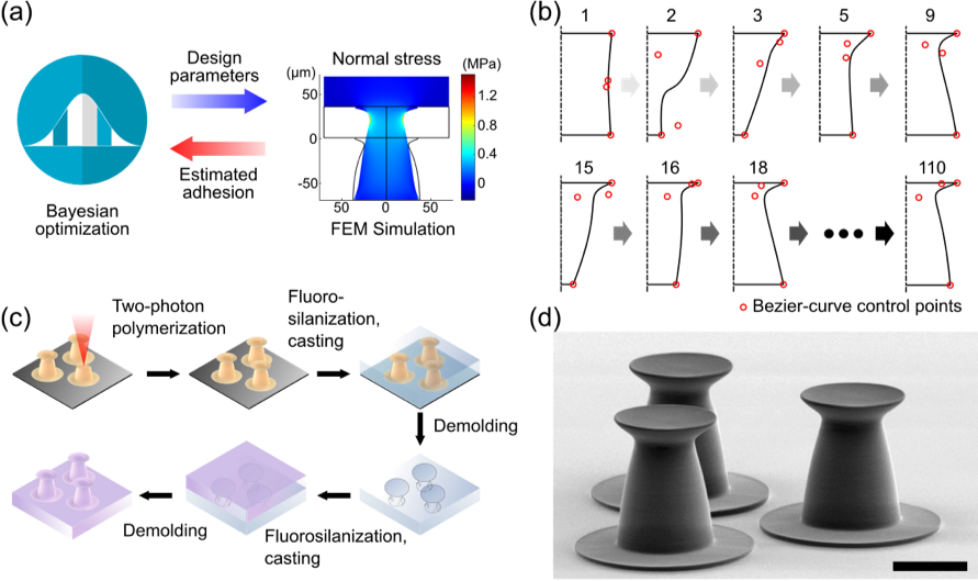 Fiber ml optimization