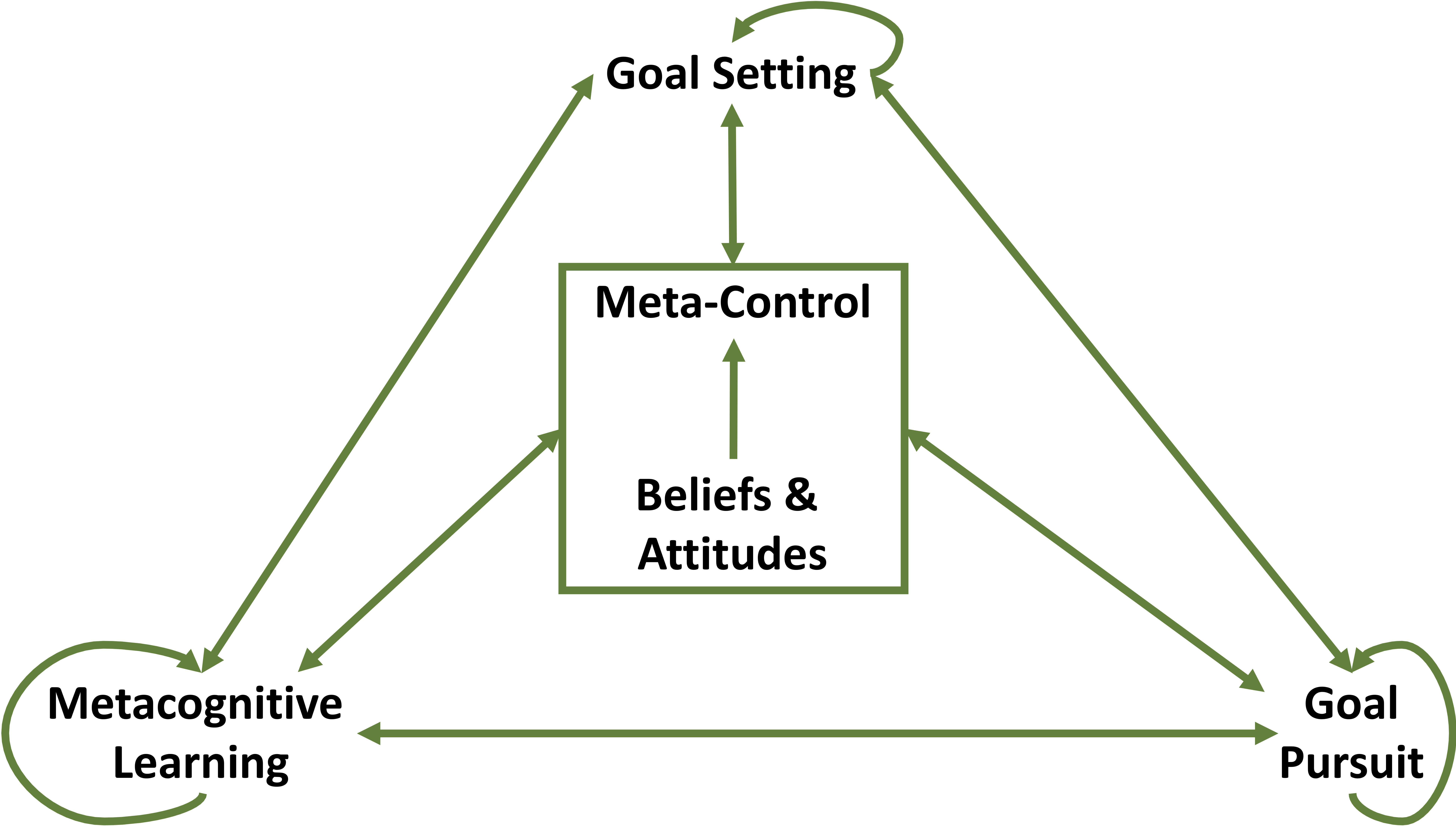 Computational principles