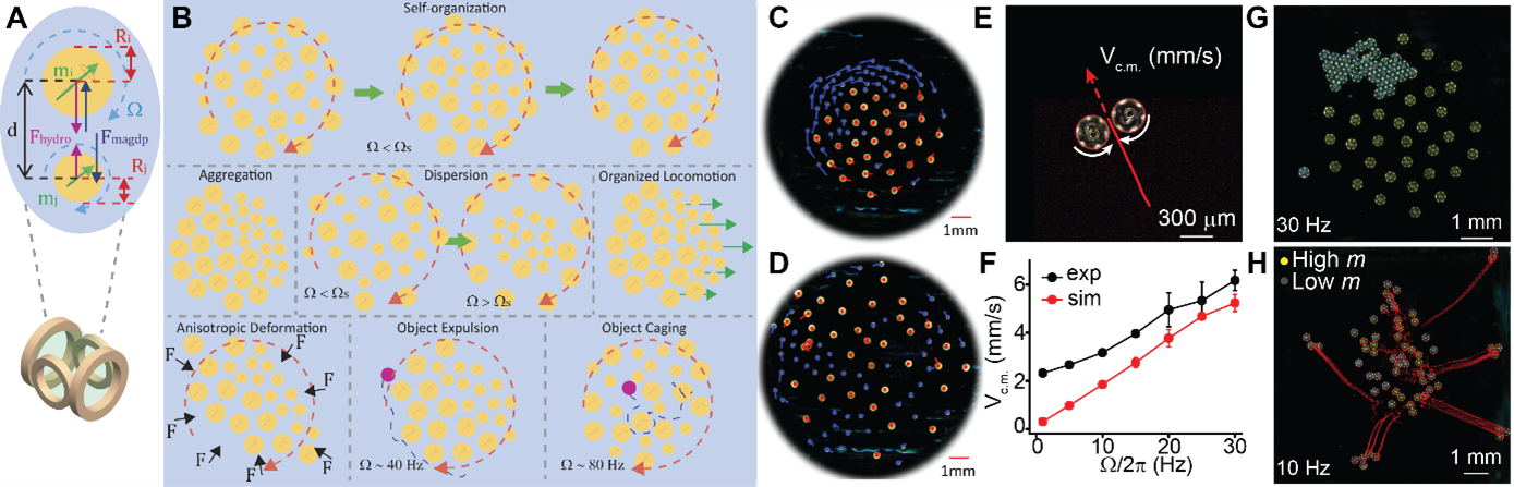 Figure gaurav heterogeneous nonrciprocal