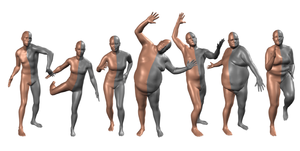 Human Shape Estimation using Statistical Body Models