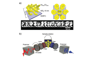 Strong Rotational Anisotropies Affect Nonlinear Chiral Metamaterials