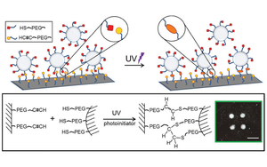 Capture of 2D Microparticle Arrays via a UV-Triggered Thiol-yne ``Click{''} Reaction