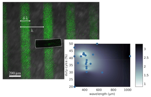 Gait learning for soft microrobots controlled by light fields